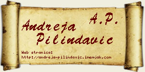 Andreja Pilindavić vizit kartica